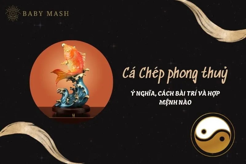 Cá Chép phong thuỷ 2025: Ý nghĩa và cách bài trí để mang lại tài lộc