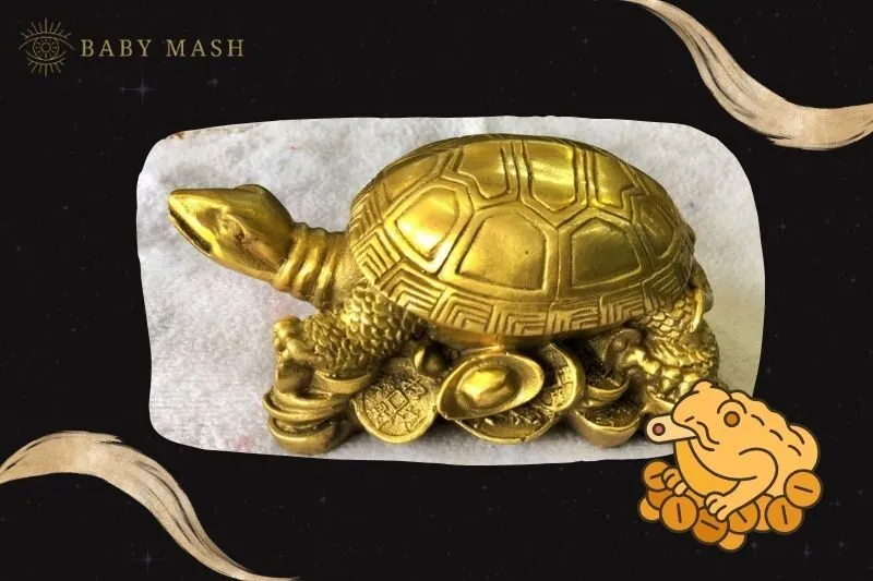 Cách Bài Trí Tượng Rùa Phong Thủy