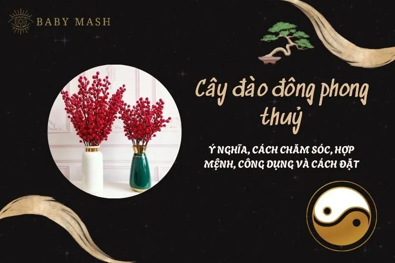 Cây đào đông phong thuỷ 2025: Ý nghĩa, cách chăm sóc, hợp mệnh, công dụng và cách đặt