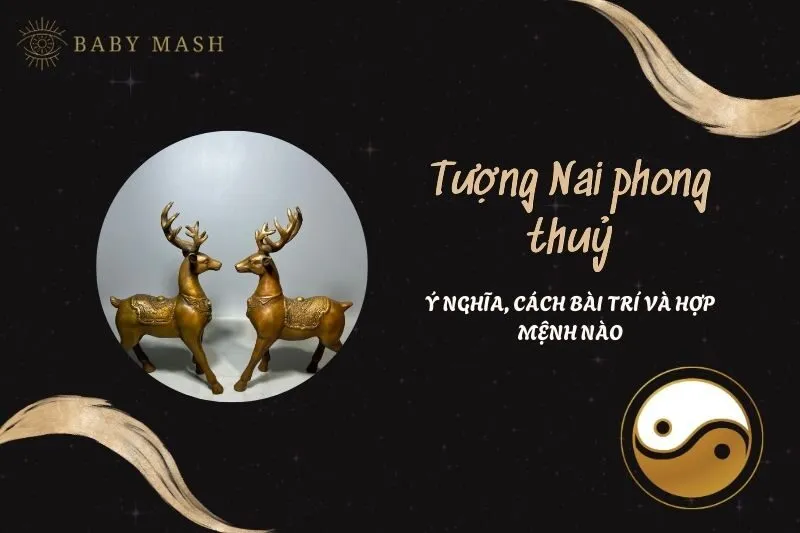 Tượng Nai phong thủy 2025: Khám phá ý nghĩa và cách bài trí