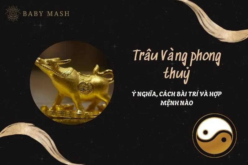 Trâu Vàng Phong Thuỷ 2025: Ý Nghĩa, Công Dụng và Cách Bài Trí
