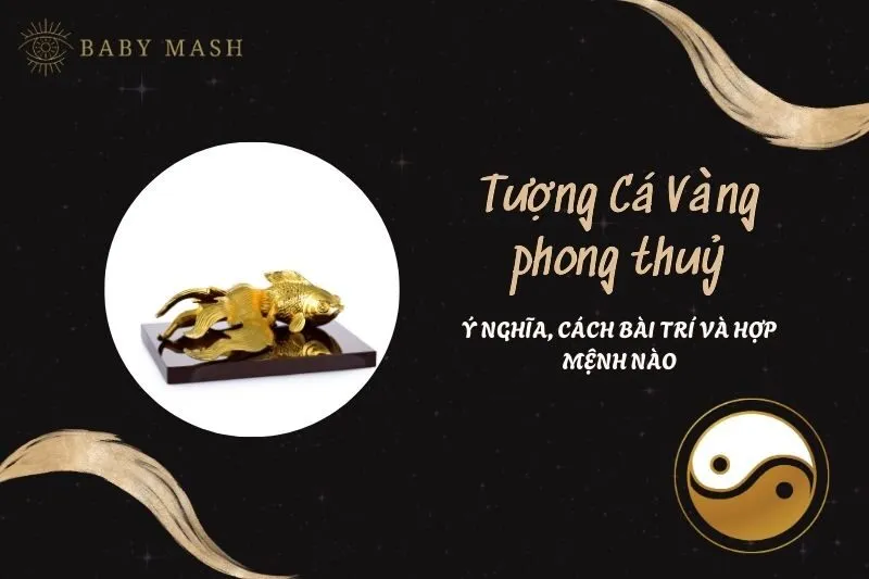 Tượng Cá Vàng Phong Thuỷ 2025: Ý Nghĩa, Cách Bài Trí, Hợp Mệnh