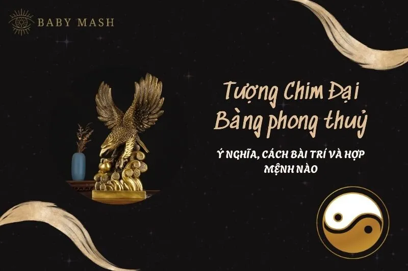 Tượng Chim Đại Bàng Phong Thủy 2025: Ý Nghĩa, Bài Trí, và Hợp Mệnh