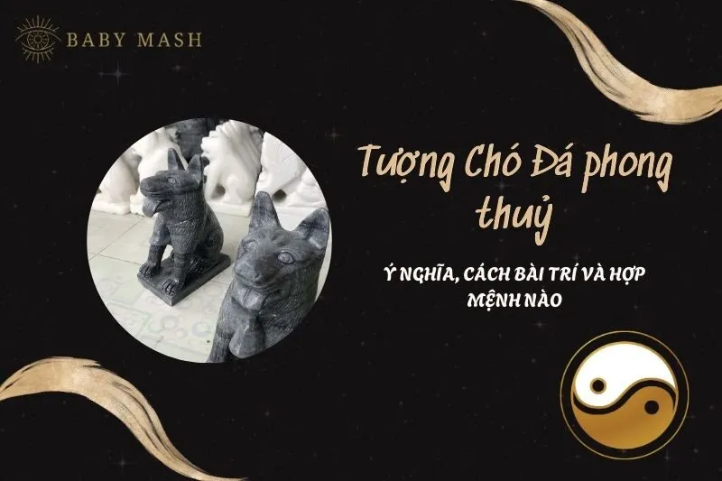 Tượng Chó Đá Phong Thuỷ 2025: Ý Nghĩa và Cách Bài Trí Đúng Phong Thuỷ