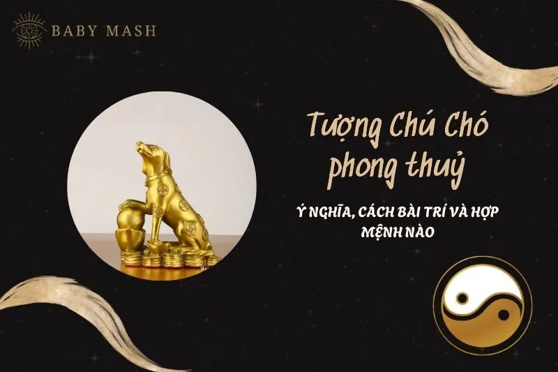 Tượng Chú Chó Phong Thủy 2025: Ý Nghĩa, Công Dụng Và Cách Bài Trí