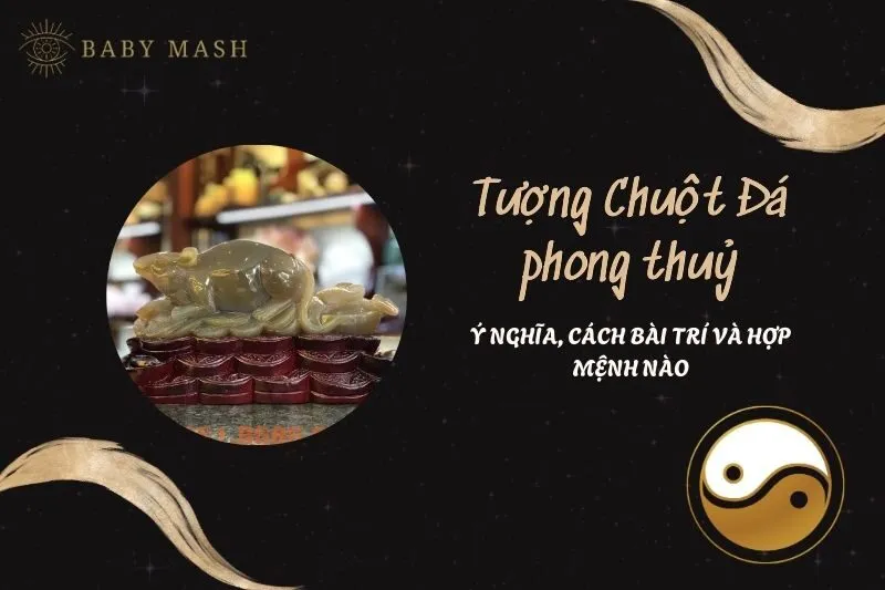 Tượng Chuột Đá Phong Thủy 2025: Ý Nghĩa, Công Dụng Và Cách Bài Trí