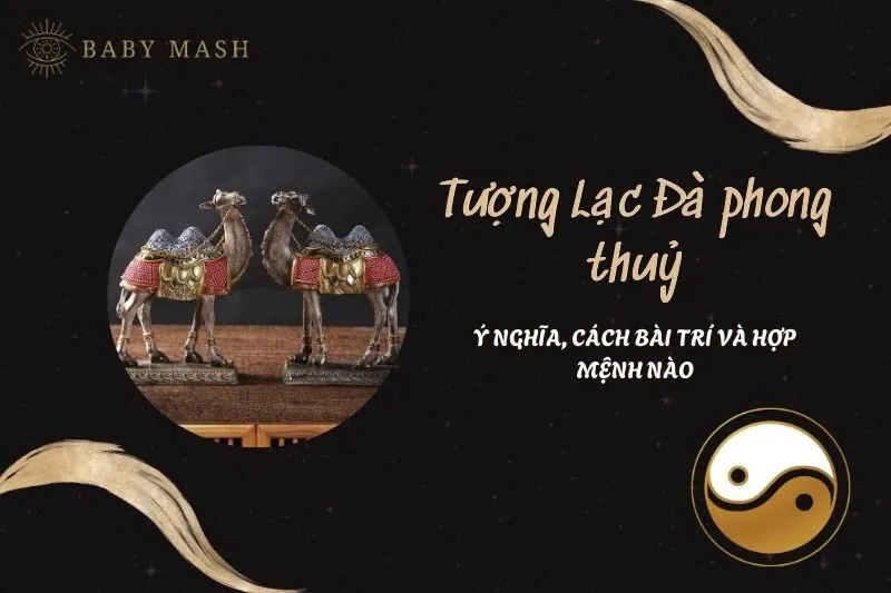 Tượng Lạc Đà Phong Thủy 2025: Ý Nghĩa, Cách Bài Trí và Tác Dụng