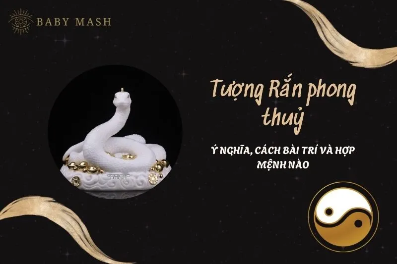 Tượng Rắn Phong Thuỷ 2025: Ý Nghĩa, Công Dụng Và Cách Bài Trí Đúng