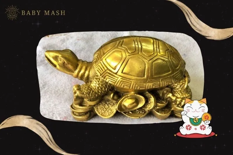 Tượng Rùa Phong Thủy Hợp Mệnh Nào?