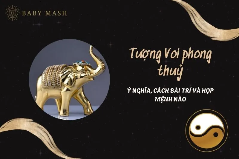 Tượng Voi Phong Thuỷ 2025: Ý Nghĩa, Cách Bài Trí Và Công Dụng Hấp Dẫn