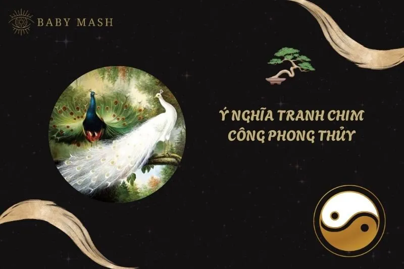 Khám Phá Ý Nghĩa Tranh Chim Công Phong Thủy Và Cách Treo Đúng 2025